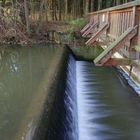 Stauwehr an der Gera im Lichtlberger Wald