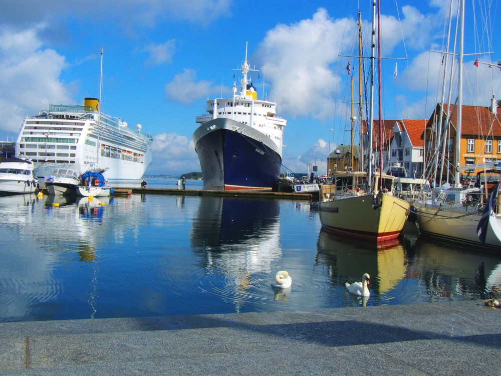 Stavanger Hafen mit Schwäne
