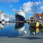 Stavanger Hafen mit Schwäne