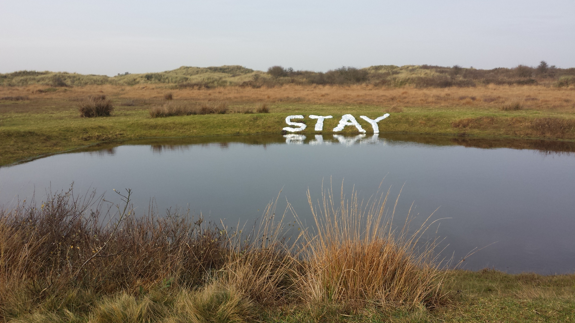 Stay