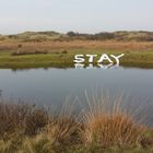 Stay