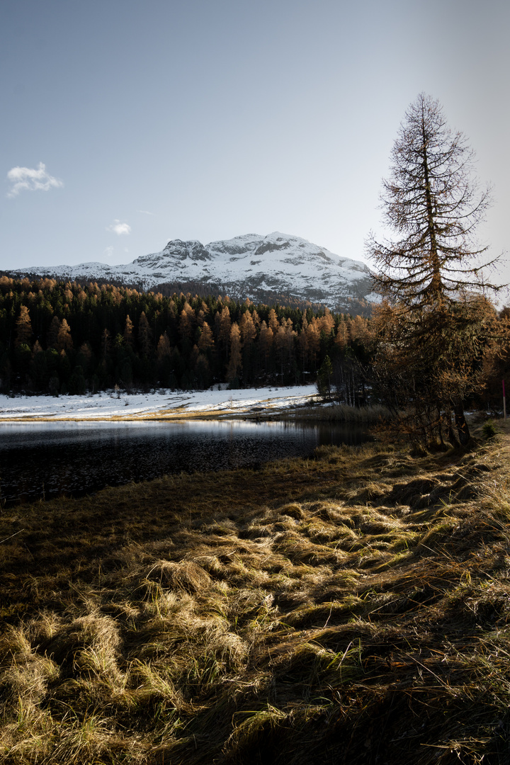 Stazersee