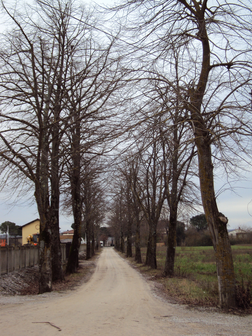 Stazione di Lucignano ( AR )