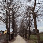 Stazione di Lucignano ( AR )