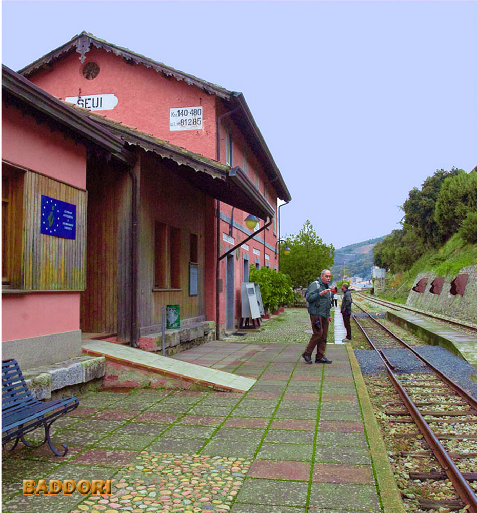 STAZIONE FERROVIARIA SEUI