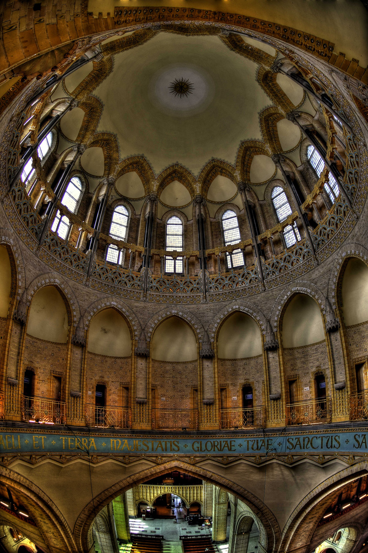 St.Bavo Kathedrale / Haarlem