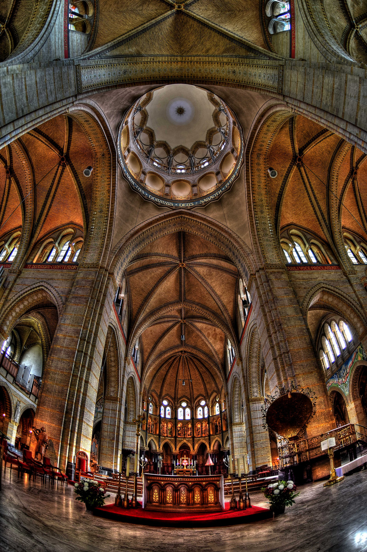 St.Bavo Kathedrale / Haarlem