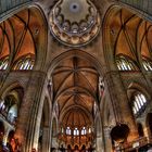 St.Bavo Kathedrale / Haarlem