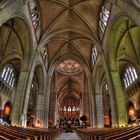 St.Bavo Kathedrale / Haarlem