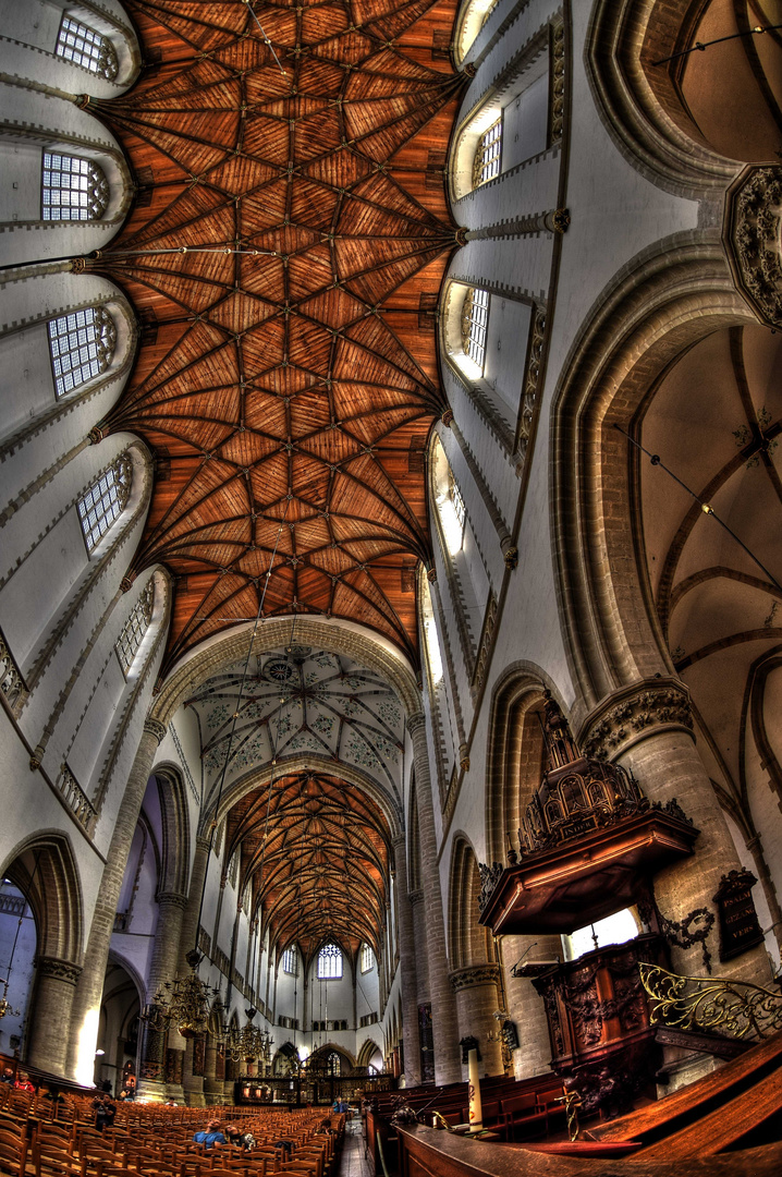 St.Bavo Kerk / Haarlem