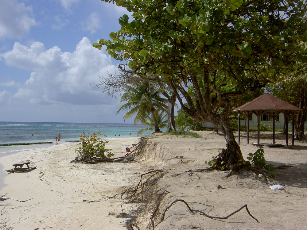 Ste Anne en Guadeloupe