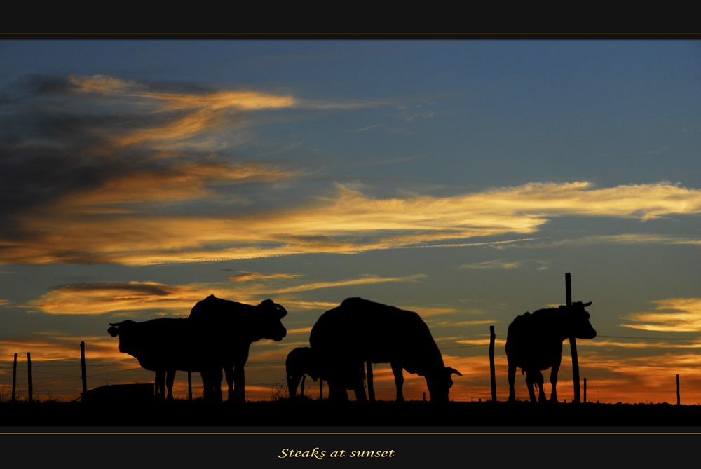 Steaks at sunset