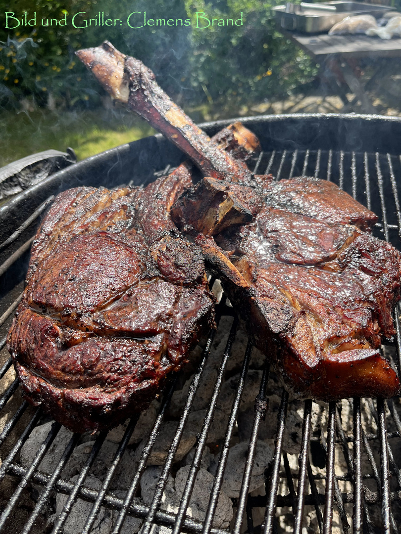 Steaks vom Grill I von III  oder Expedition ins Tierfleisch