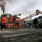 Steam crane, Saharanpur