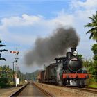 Steam Freight nach Badulla