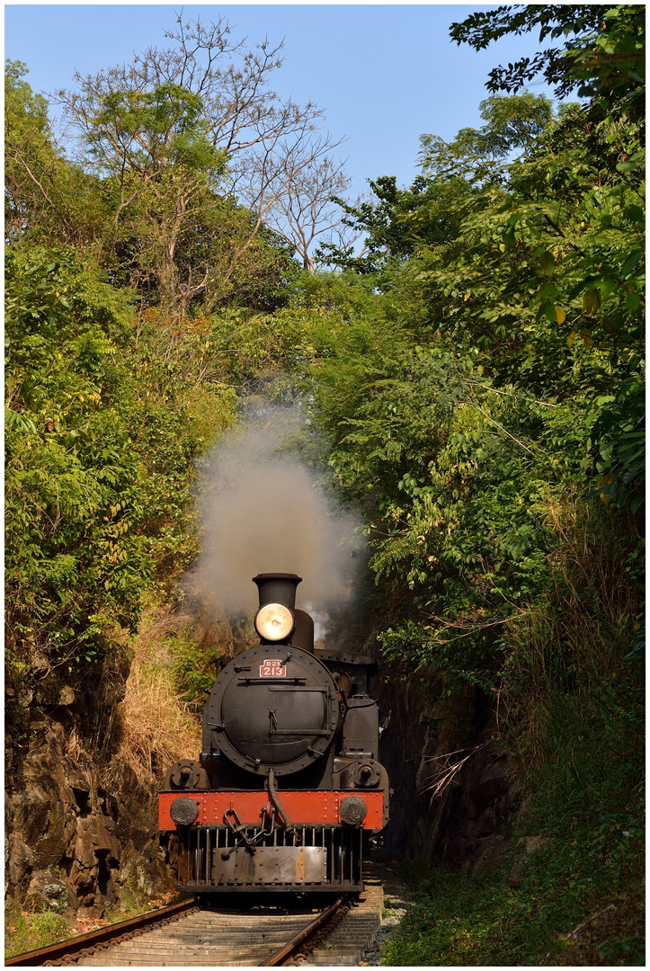 Steam Freight nach Badulla - END