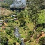 Steam Freight nach Badulla  -  LXXXV