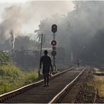 Steam Freight nach Badulla XXXVIII