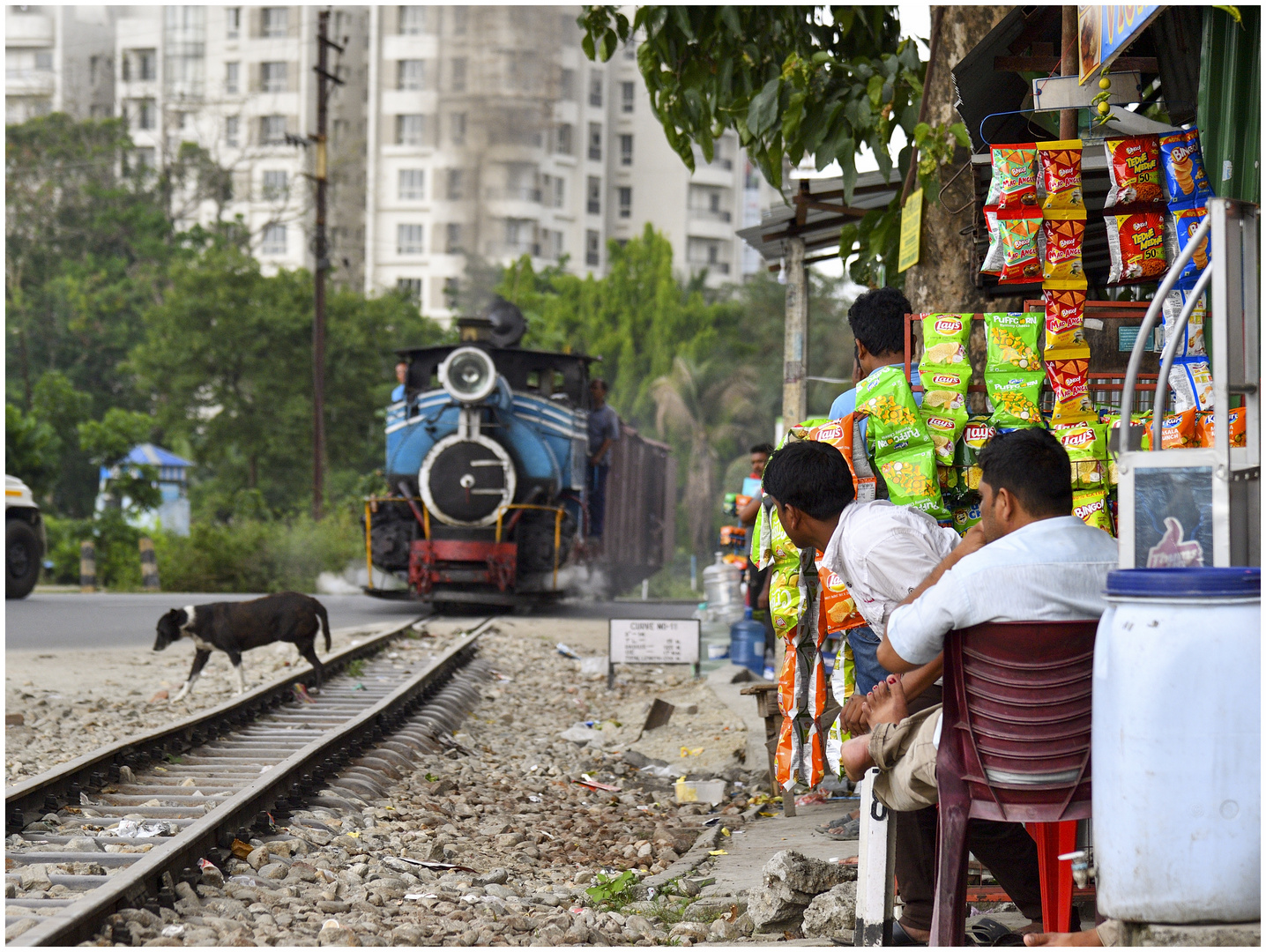 Steam Freight nach Darjeeling 