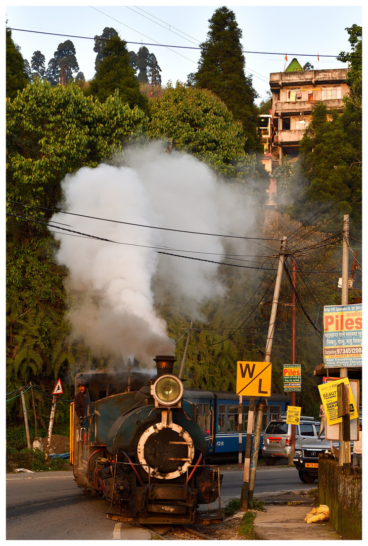 Steam Freight nach Darjeeling  -  ENDE