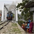 Steam Freight nach Darjeeling II