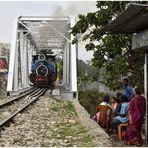 Steam Freight nach Darjeeling II