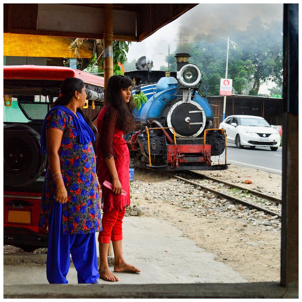 Steam Freight nach Darjeeling III