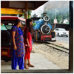 Steam Freight nach Darjeeling III