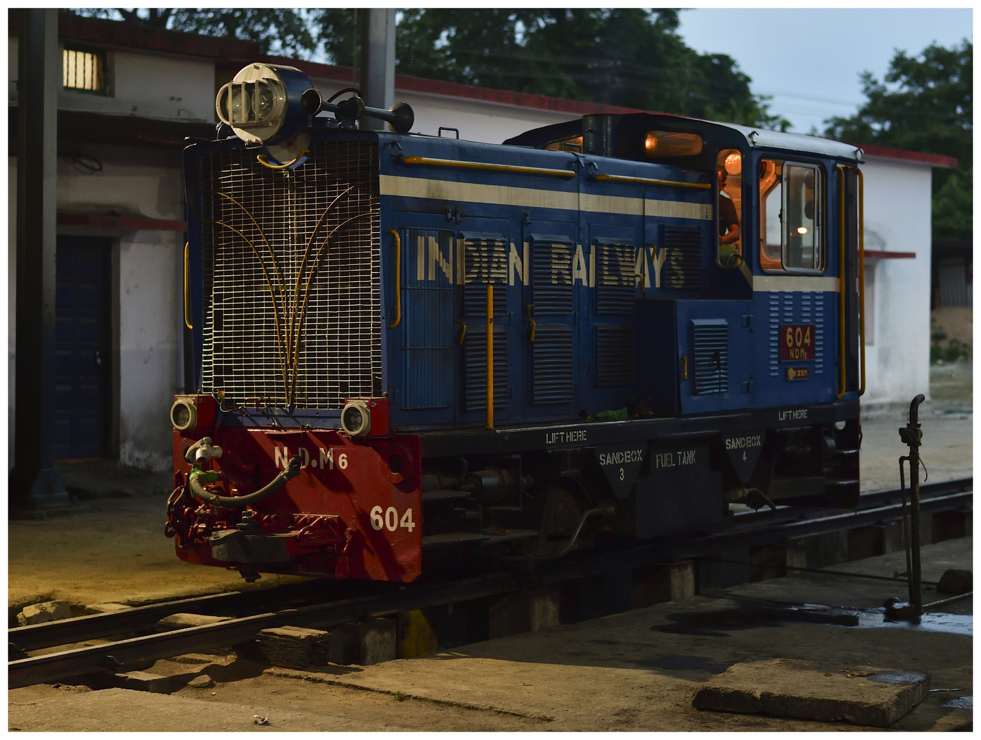 Steam Freight nach Darjeeling IX