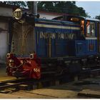 Steam Freight nach Darjeeling IX