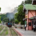 Steam Freight nach Darjeeling V