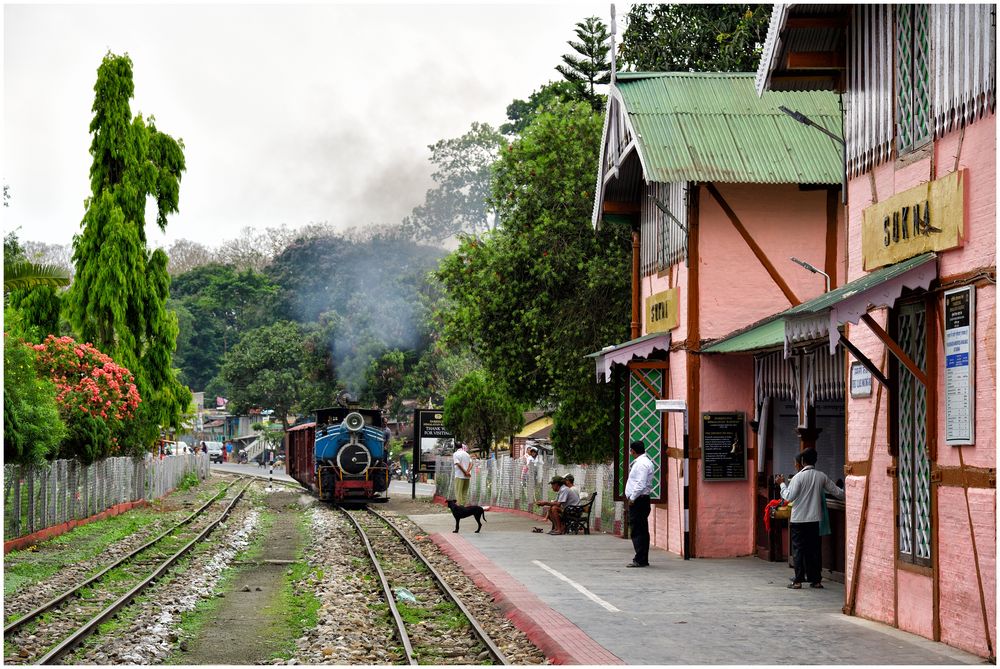 Steam Freight nach Darjeeling V