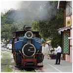 Steam Freight nach Darjeeling VI
