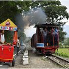 Steam Freight nach Darjeeling VII