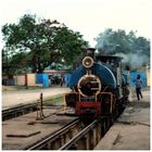 Steam Freight nach Darjeeling VIII