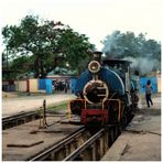 Steam Freight nach Darjeeling VIII