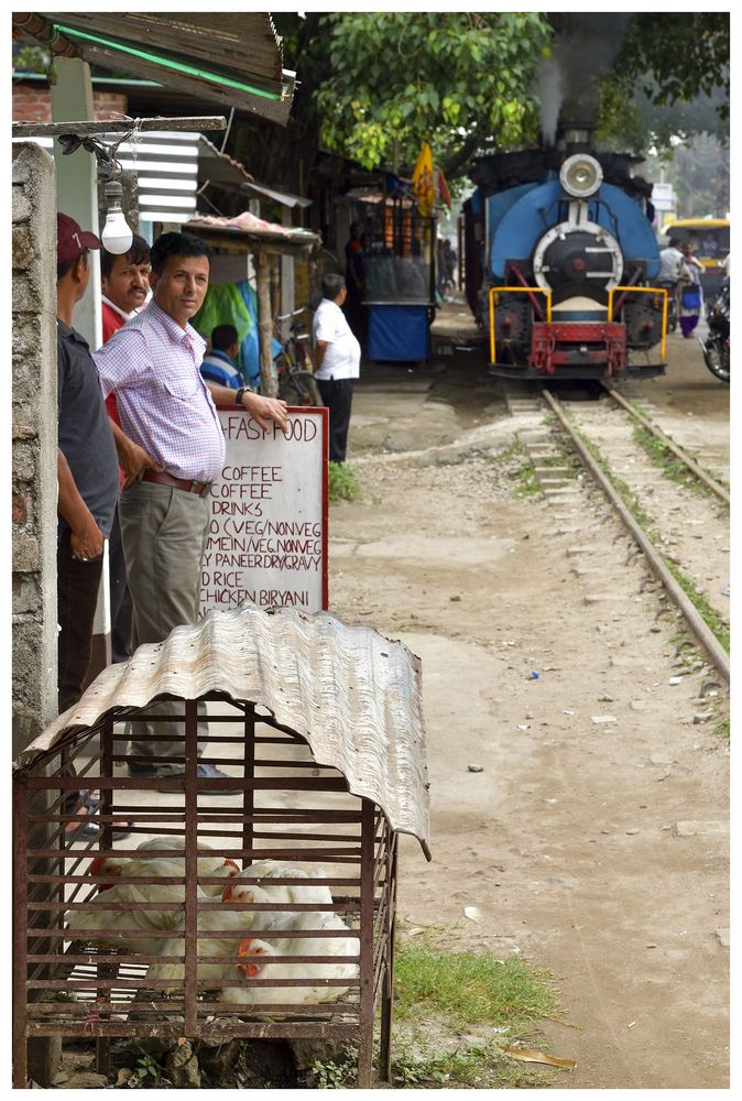 Steam Freight nach Darjeeling XX