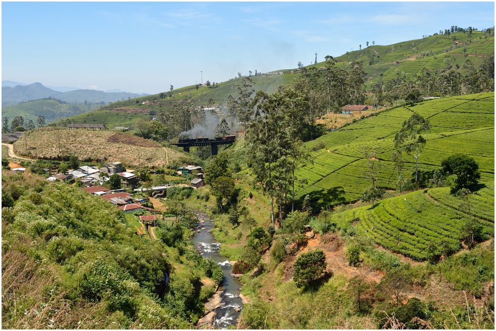 Steam Freight to Badulla - LXXXIV