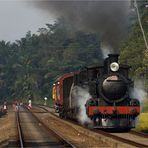 Steam Freight to Badulla XXXVI