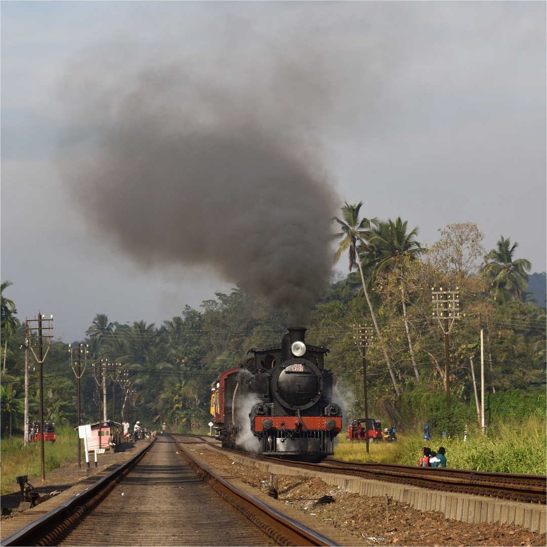 Steam Freight to Badulla XXXVII