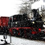 Steam in the Snow, Pressnitztalbahn No.3