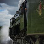 Steam on a Stormy Summer Afternoon