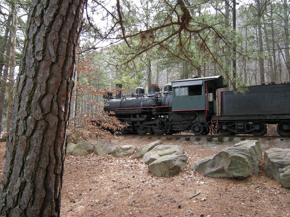 Steam Train