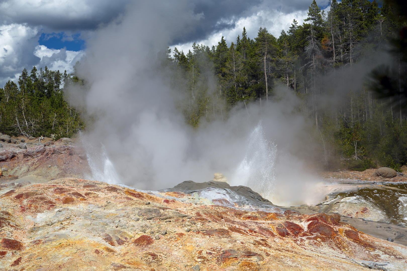 Steamboat-Geysir Yellowstone NP.