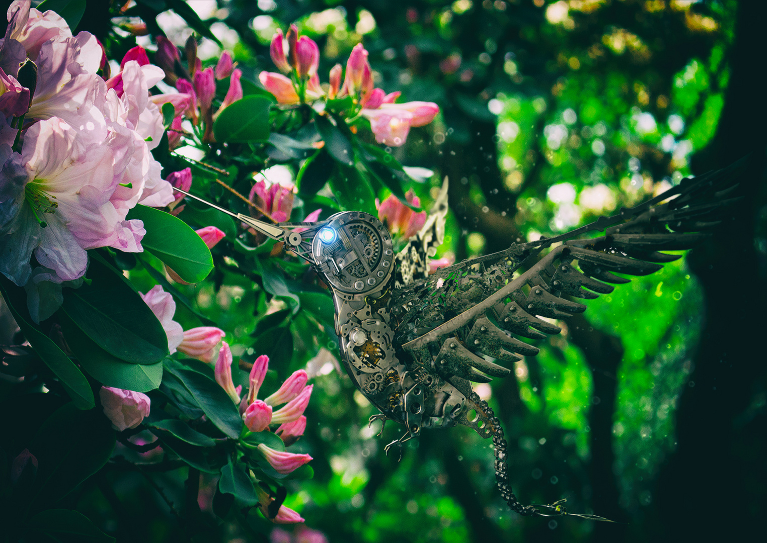 Steampunk Colibri