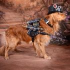 Steampunk Dog