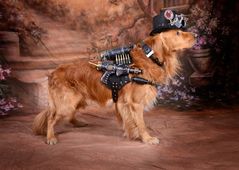 Steampunk Dog