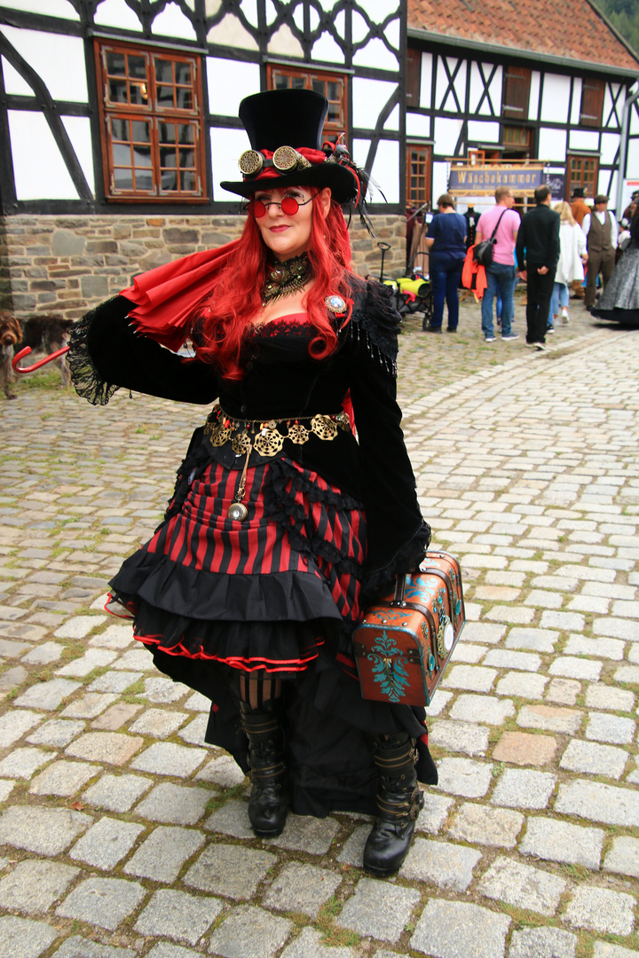 Steampunk Lady