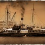 --- Steamship "Bussard" ---