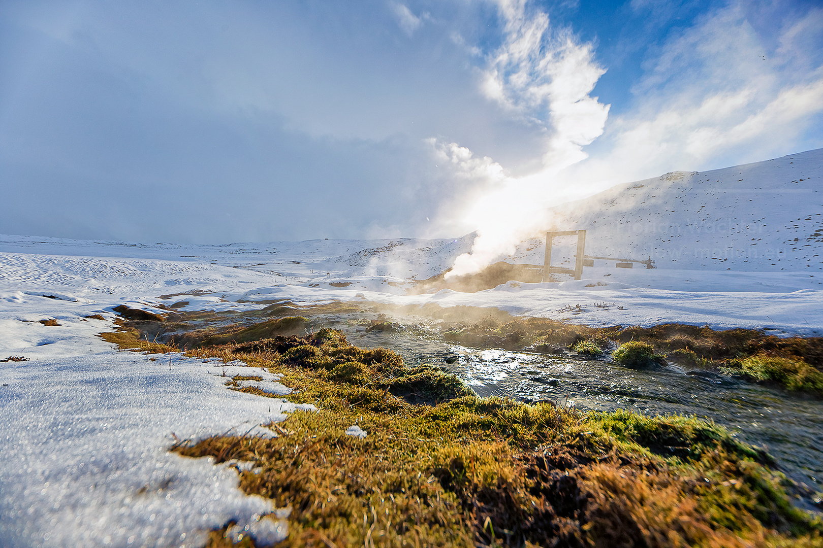 steamy creek 